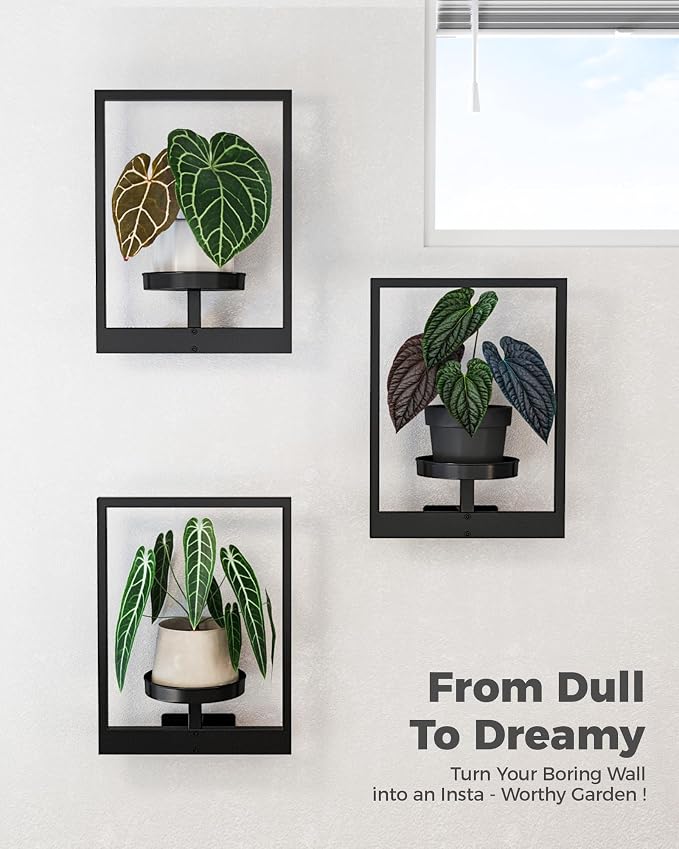 Bamworld Hanging Planters for Indoor Plants Wall Decor Living Room Plant Stand Indoor Wall Planters Plant Hanger Window Plant Shelves 3 Pack for Outdoor Entryway