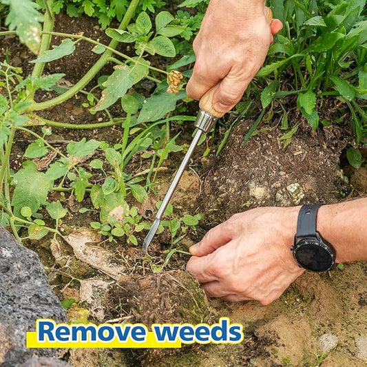 Berry&Bird Garden Hook Weeder, L-Shape Single Claw Hook Crack Weeder | Crevice Weeding and Soil Loosening, Garden Digging Cultivator Weed Remover Tool for Patio Lawn Yard Moss Terrace Paving