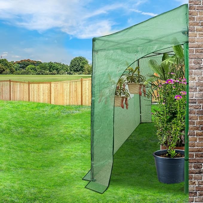 EAGLE PEAK 10x5 Portable Walk in Greenhouse, Pop Up Indoor Outdoor Greenhouse, Green House Kit with Zippered Roll-Up Doors and Windows, Lean-to Design, PE Cover, Clear/Green