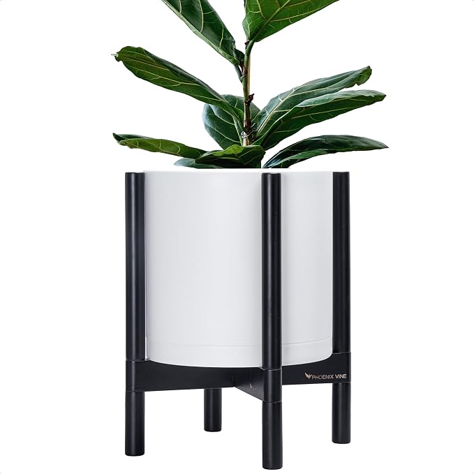 D'vine Dev Plastic Pot with Ebony Wood Stand, White, 12 in, 55-C-Q-1 | Mid-Century Inspired Design, Elevated Plant Display, Clean Lines, Sturdy Support, Modern Space-Saving Style