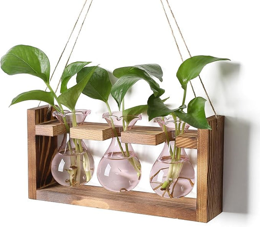 Plant Propagation Station Plant Terrarium Unique Birthday Gifts for Women | Plant Lovers Home Office Decor Planter with Wooden Stand - 3 Bulb Glass Vase