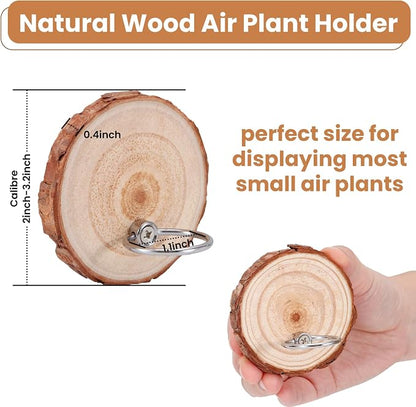 Magnetic Air Plant Holder, Natural Wood Slices Refrigerator Magnet Live Air Plant Holders, Modern Farmhouse Wall Decor for Living Room Bedroom Kitchen Office Home Garden (3 Pack)