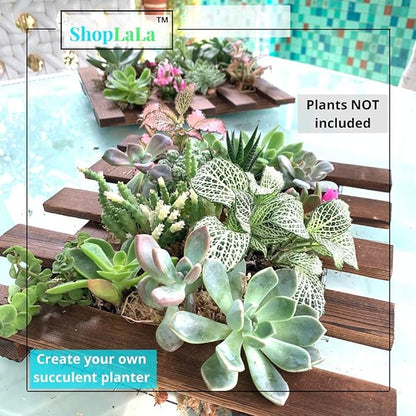 ShopLaLa Wall Planter - 2 Pack Wooden Hanging Succulent Wall Decor, Live Air Plants Orchids Wall Mounted Holder Frame Display for Indoor Outdoor, Living Plant Wall Decor Balcony Garden | Live Air Plants Orchids Wall Mounted Holder Frame Display for Ind...