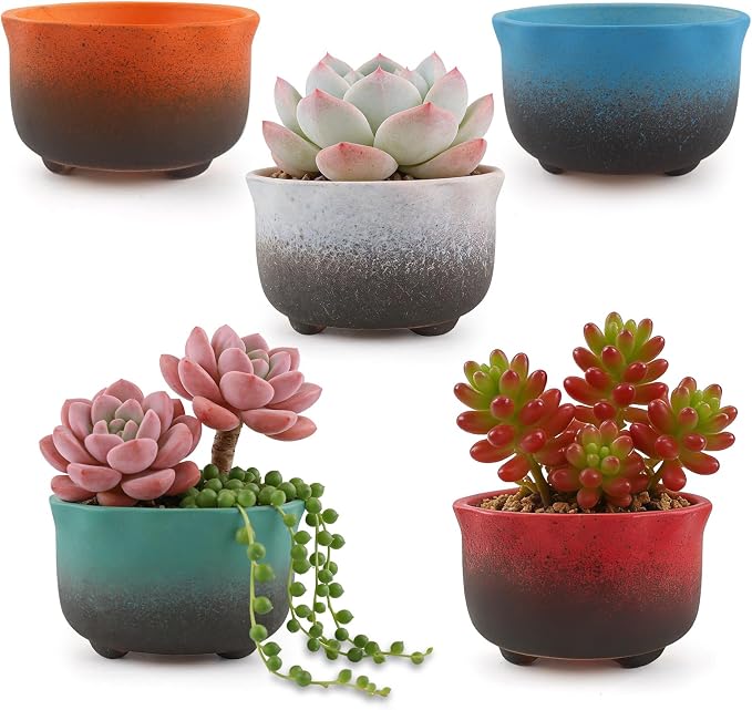 Small Ceramic Garden Pots Succulent Plant Planter Container with Drainage Set of 5 for Home Office Decor