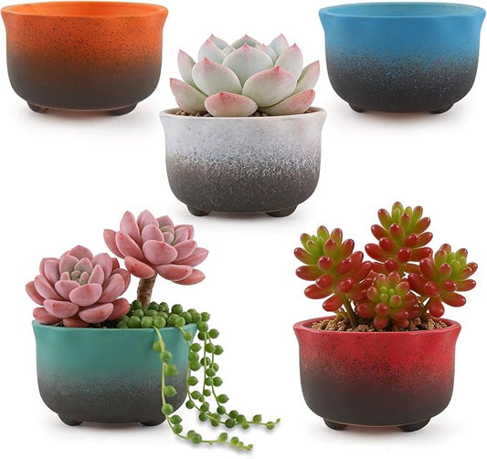 Small Ceramic Garden Pots Succulent Plant Planter Container with Drainage Set of 5 for Home Office Decor