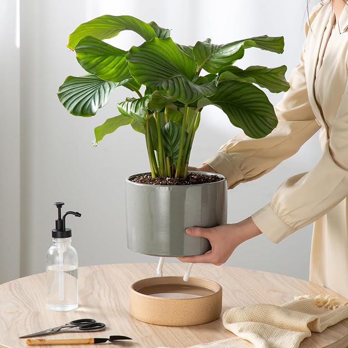 8 Inch Ceramic Self Watering Planter with Drainage Hole, Dark Grey | Indoor Plant Pot with Water Storage Plus - for African Violet, Herbs & Pothos - Home & Office Decor, Cylinder Round