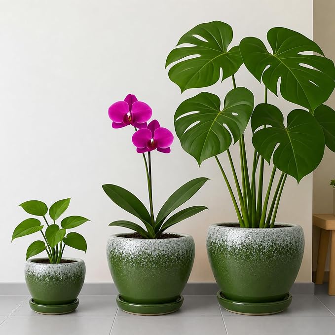 Deep Dream 8 Inch Plant Pots- Ceramic Pots for Plants with Drainage Hole and Saucer, Large Planter Pot for Indoor Plants Outdoor Decor, Blackish Green