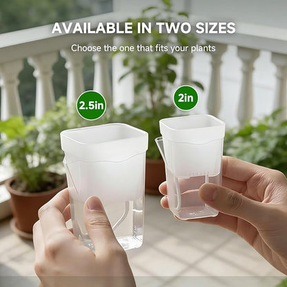 12 Pack 2.5" Small Self Watering Pots for Indoor Plants, Mini Clear Plastic Planters, Semi-Hydro, Propagation, Cuttings, Seedlings, Hoya, African Violets, Alocasia, LECA, PON,12 Plant Label (2.5-inch)