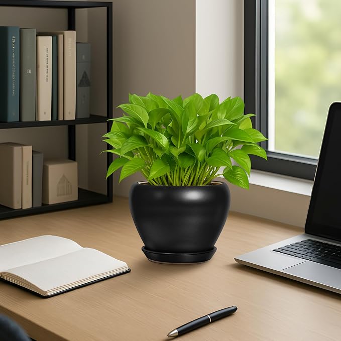 6 Inch Plant Pot - Ceramic Planter with Drainage Hole and Trays, Modern Round Flower Pot, Planters for Indoor Outdoor Plants, Home Garden Decor, Black