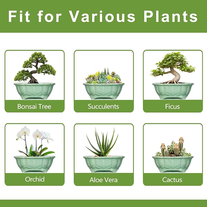 Bonsai Pots 11 Inch - Ceramic Succulent Pots with Drainage Hole, Oval Planter for Indoor Outdoor, Decorative Ceramic Flower Pot, Home Garden Room Decor, Plant Lover Gifts, Green