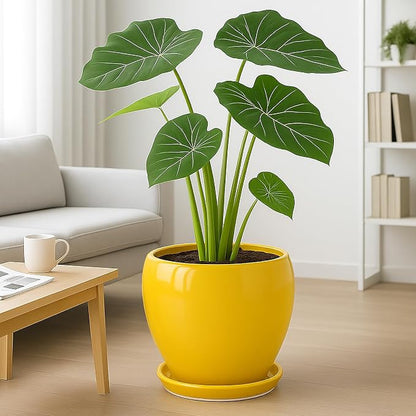 Deep Dream 10 Inch Plant Pot- Ceramic Planter Pot Round Plant Pots for Indoor Plants Outdoor Large Flower Pot with Drainage Holes & Trays, Yellow