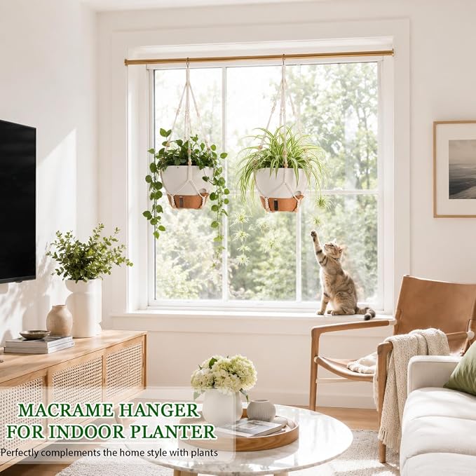 10 Inch Self Watering Hanging Planters, 2 Pack, Visible Water Window | Drainage Holes, Cotton-wick Reservoir, Metal Chain & Macrame Plant Hangers for Indoor & Outdoor Plants
