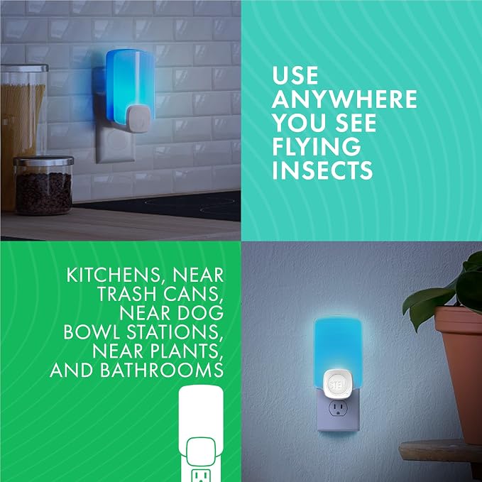 STEM Flying Insect Trap - Indoor Fruit Fly & Gnat Catcher for Home, Kitchen & Any Room, Attracts & Traps Bugs, Soft Blue UV Light - Includes 2 Plug-in Devices & 2 Cartridges (Pack of 2)