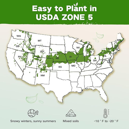 Zone 5 Seed Bank, 32 Types Heirloom Vegetables Herbs Seeds, Gardening Gifts | Non-GMO USA-Soucred Seed Vault Kit, Survival Garden Seeds for Planting in Raised Beds Greenhouse, Gift for Gardener Women Men