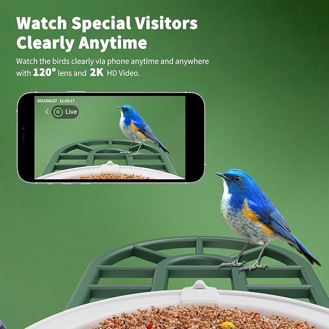 HARYMOR Smart Bird Feeder with Camera - AI Identify Birds Species, Solar Powered Bird House with Cam, 2L Large Capacity, 2K HD Video Live Stream, Instant Arrival Alerts - Green