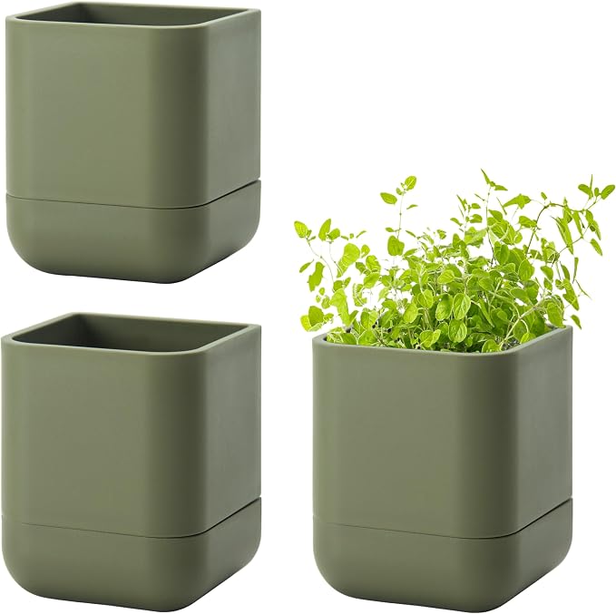 Phoenix Vine 3.5 Inch Wall Mounted Self-Watering Planter Pot for Indoor Houseplants and Herbs | Hanging Planter for Window Sills, Bathroom Walls, Home & Office Décor, Olive, Set of 3, 01-A-F-3