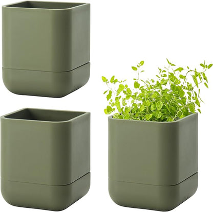 Phoenix Vine 3.5 Inch Wall Mounted Self-Watering Planter Pot for Indoor Houseplants and Herbs | Hanging Planter for Window Sills, Bathroom Walls, Home & Office Décor, Olive, Set of 3, 01-A-F-3