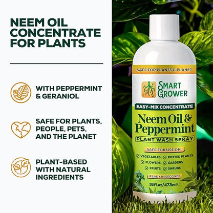 Neem Oil Spray for Plants with Peppermint Oil – for Indoor & Outdoor Plants, Gardens, & Houseplants– Best Value Refill 16 oz Concentrate Makes 2 Gallon RTU