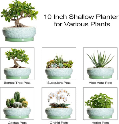 Bonsai Pots - 10 Inch Ceramic Succulent Pot with Drainage Hole and Plant Saucer, Succulent Planters for Indoor Outdoor, Round Planter Bowl, Shallow Planter, Home Decor, Gardening Gift, Green