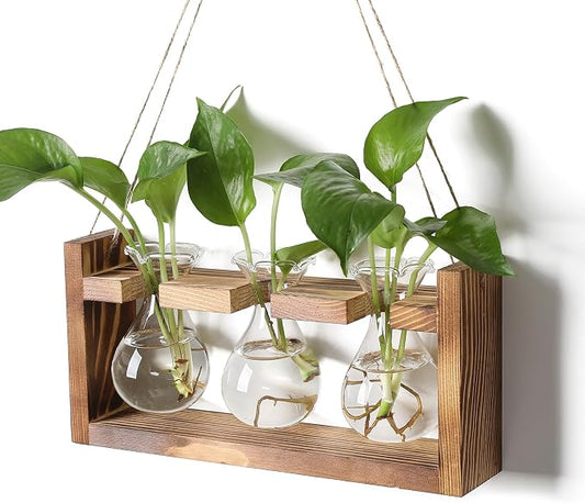 Plant Propagation Station Plant Terrarium Unique Birthday Gifts for Women | Plant Lovers Home Office Decor Planter with Wooden Stand - 3 Bulb Glass Vase