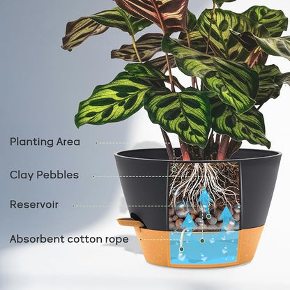 12 Inch Self Watering Pot with Visual Water Window, Drainage Holes & Watering Lip, Set of 3 Large Plastic Planters for Indoor Outdoor Plants, Modern Decorative Flower Pot (Grey)
