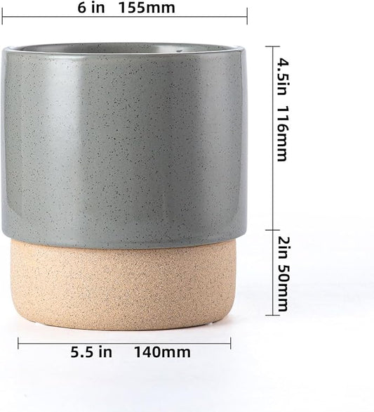 6 Inch Ceramic Self Watering Planter with Drainage Hole, Dark Grey | Indoor Plant Pot with Water Storage Plus - for African Violet, Herbs & Pothos - Home & Office Decor, Cylinder Round