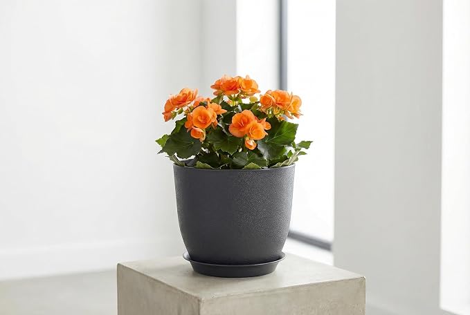 8 Inch Plant Pots Set of 2, Plastic Planters with Drainage Holes and Tray, Flower Pots for Indoor Outdoor Plants and Flowers (Black)