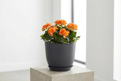 8 Inch Plant Pots Set of 2, Plastic Planters with Drainage Holes and Tray, Flower Pots for Indoor Outdoor Plants and Flowers (Black)