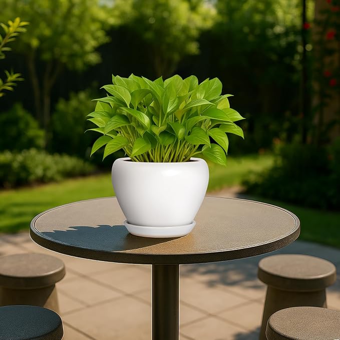 Deep Dream 6 Inch Plant Pot - Ceramic Planter with Drainage Hole and Trays, Modern Round Flower Pot, Planters for Indoor Outdoor Plants, Home Garden Decor, White