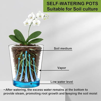 6 Pack of 6in Plastic Cachepot with 6 inch Clear nusery Pot - self Watering Indoor Planter with Drainage for Root Visibility,semi Hydro pots for repotting Monstera,Orchids,Aroid,Black
