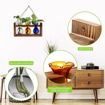 Plant Propagation Station Plant Terrarium Unique Birthday Gifts for Women | Plant Lovers Home Office Decor Planter with Wooden Stand - 3 Bulb Glass Vase
