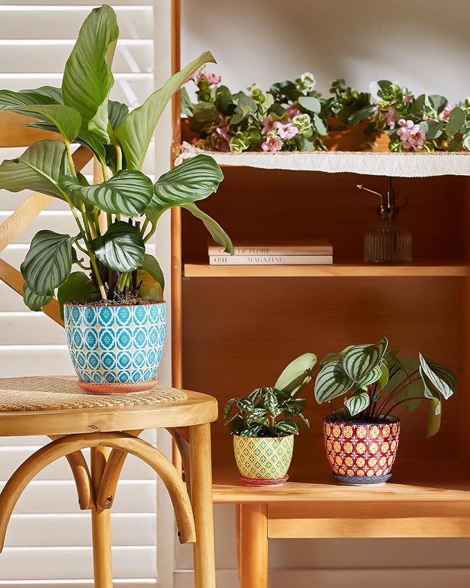 Metahom Ceramic Plant Pots, 5.8 Inch Flower Pots for Indoor Plants, Colorful Planters with Drainage Hole & Saucer, Garden Planters for Succulent, Orchid, Cactus, Home Decor, Set of 4