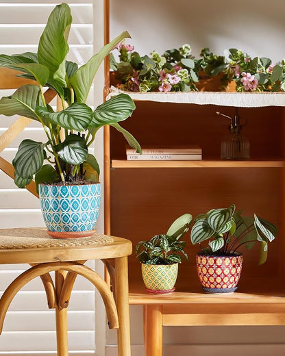 Metahom Ceramic Plant Pots, 5.8 Inch Flower Pots for Indoor Plants, Colorful Planters with Drainage Hole & Saucer, Garden Planters for Succulent, Orchid, Cactus, Home Decor, Set of 4