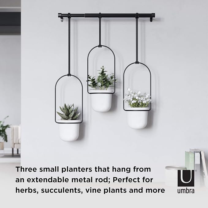 Umbra Triflora Hanging Planter for Window, Indoor Herb Garden, Set of 3, White/Black (Pack of 3)