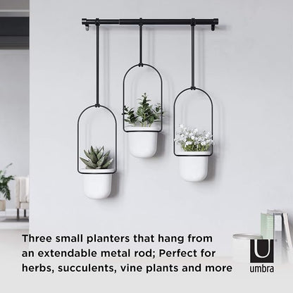 Umbra Triflora Hanging Planter for Window, Indoor Herb Garden, Set of 3, White/Black (Pack of 3)