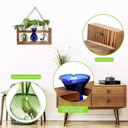 Plant Propagation Station Plant Terrarium Unique Birthday Gifts for Women | Plant Lovers Home Office Decor Planter with Wooden Stand - 3 Bulb Glass Vase