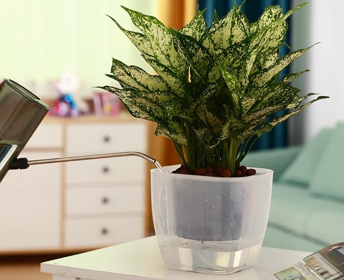 6-Pack 7 Inches Clear Self Watering Planters for Indoor Plants Large African Violet Plant Pots Plastic Wick Flower Pots with Water Injection Hole, Orchid Plant Pot Set, Clear