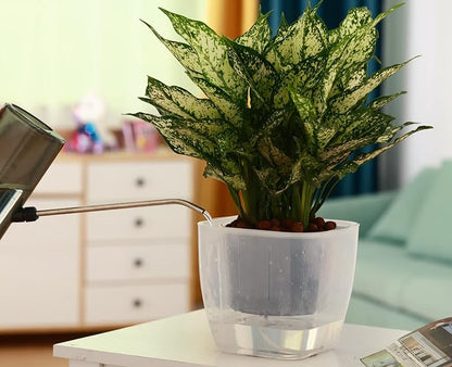 6-Pack 7 Inches Clear Self Watering Planters for Indoor Plants Large African Violet Plant Pots Plastic Wick Flower Pots with Water Injection Hole, Orchid Plant Pot Set, Clear