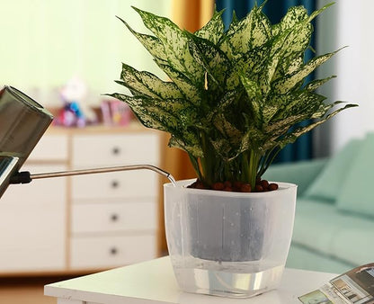 3-Pack Clear Self Watering Planters for Indoor Plants 7" Large African Violet Plant Pots Plastic Wick Flower Pots with Water Injection Hole, Orchid Plant Pot Set, Clear