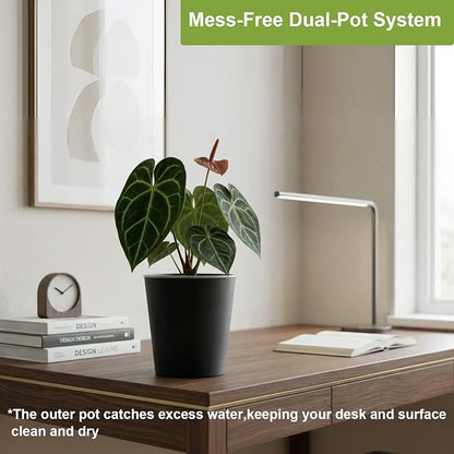 6 Pack of 6in Plastic Cachepot with 6 inch Clear nusery Pot - self Watering Indoor Planter with Drainage for Root Visibility,semi Hydro pots for repotting Monstera,Orchids,Aroid,Black