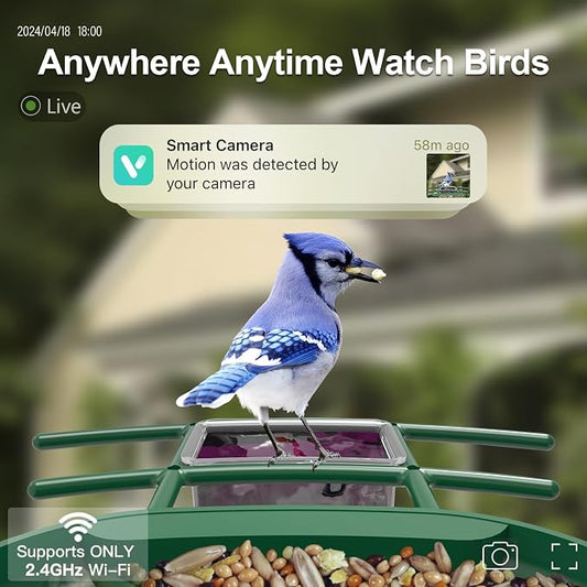 Bird Feeder with Camera Solar Powered : Smart Camera Bird Feeder 2K Live Feed Cam for Outdoor Backyard - Ai Identify Auto Capture Videos Pictures, Gifts for Birdlover Mom Dad, 2.4GHz WiFi