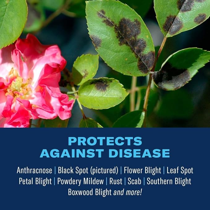 BioAdvanced Disease Control for Roses, Flowers & Shrubs Concentrate - 32 oz