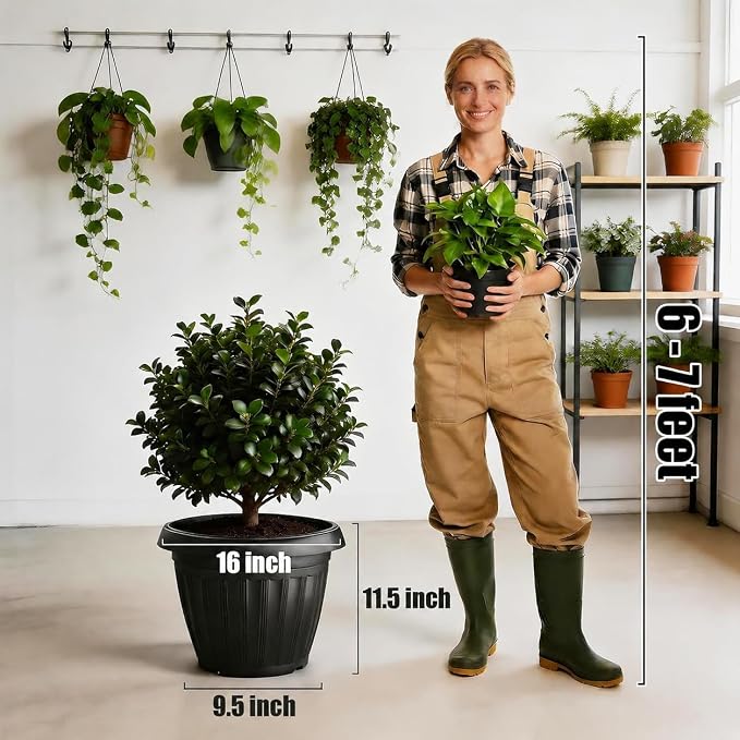 RooTrimmer 5 Pack 16 Inch Large Plant Pots with Drainage Holes,Heavy Duty Lightweight Plastic Planters for Indoor Outdoor Plants,Modern Flower Pots for Trees,Fiddle Leaf Fig,Patio,Garden & Balcony