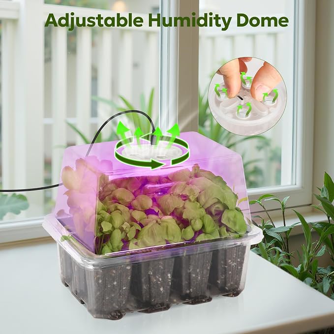 MIXC Seed Starter Kit with Grow Light, Elevated Seedling Tray Kit with Adjustable Humidity Dome and Clear Cell Tray, 12 Full Spectrum Led Beads for Seed Starting Greenhouse, 6 Pack, Transparent