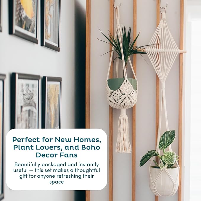 Nook Theory 4-Pack Macrame Plant Hangers with 8 Hooks - Hanging Planters for Indoor Plants, Boho Macrame Hangers Indoor Outdoor, Decorative Plant Hanger Indoor (Black)