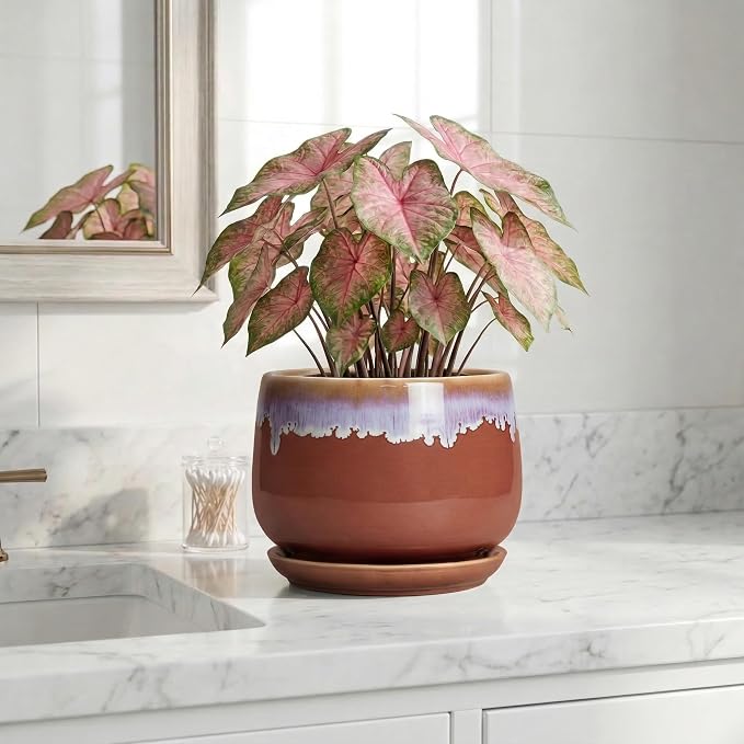 Ceramic Pots for Plants 7 Inch - Ceramic Planters for Indoor Plants, Indoor Plant Pots with Drainage and Saucer, Decorative Round Flower Pot, Garden House Room Decor, Plant Gifts, Red-Purple