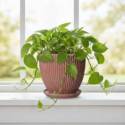 Ceramic Pots for Plants 6 Inch, Ceramic Plant Pots Indoor with Drainage Hole and Saucer, Modern Flower Pot, Round Decorative Planter, Living Room Home Decor, House Warming Gifts, Rust Red