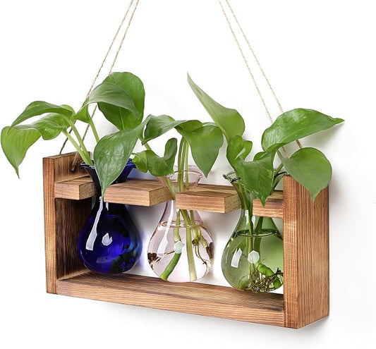 Plant Propagation Station Plant Terrarium Unique Birthday Gifts for Women | Plant Lovers Home Office Decor Planter with Wooden Stand - 3 Bulb Glass Vase