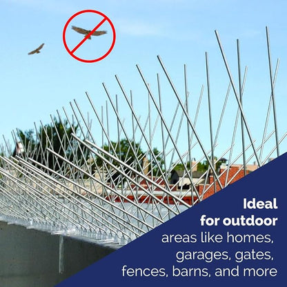 Bird-X Stainless Steel Spikes Stop Bird Roosting Pigeons 6 Inch Wide 10 Ft | Stops Bird Landing, Durable Stainless Steel, Ledges, Sings, Pipes Beams, For Pigeons, Seagulls, Sparrows & more 10 Feet