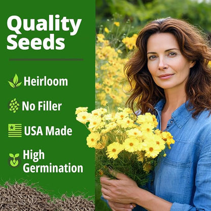 HOME GROWN Cosmos ‘Dwarf Lemon’ Seeds – 300 Dwarf Cosmos Flower Seeds for Planting, Compact Yellow Blooms, Heat Tolerant Annual for Outdoor Gardens (.2g) – Cosmos sulphureus ‘Dwarf Lemon’